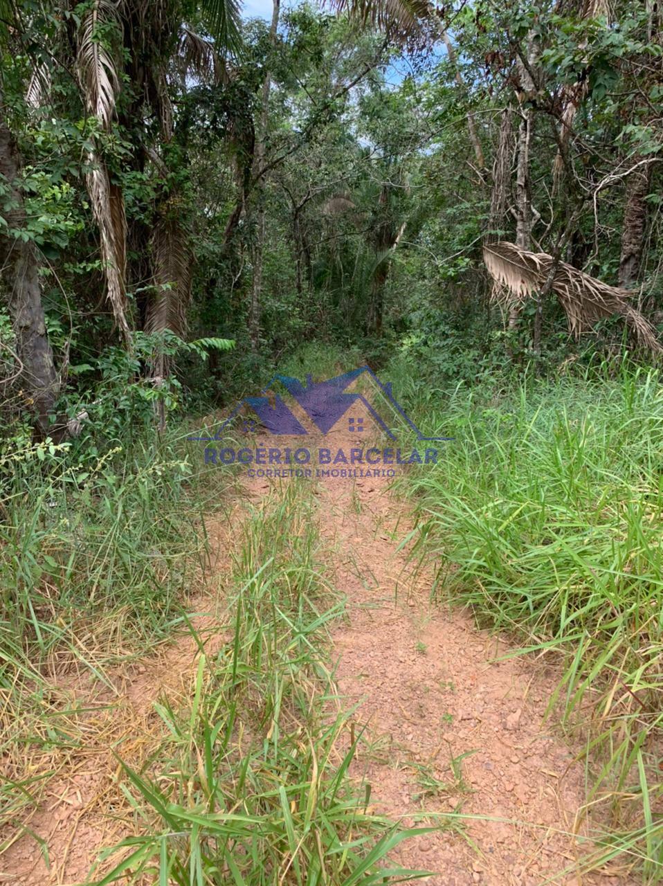 Bocáina - Área de meio alqueire (22 mil metros quadrados) à venda