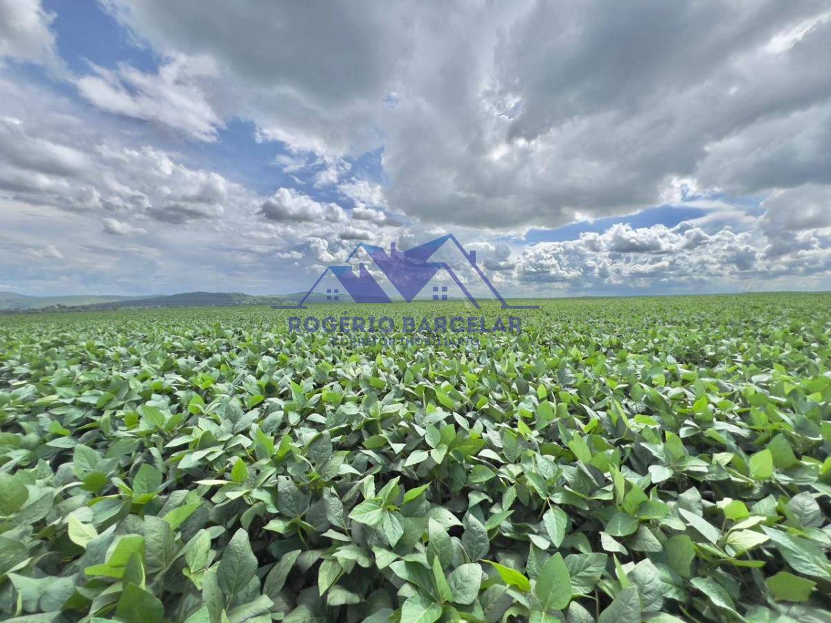 Fazenda com casa do caseiro e Sede a venda em Ipameri - GO